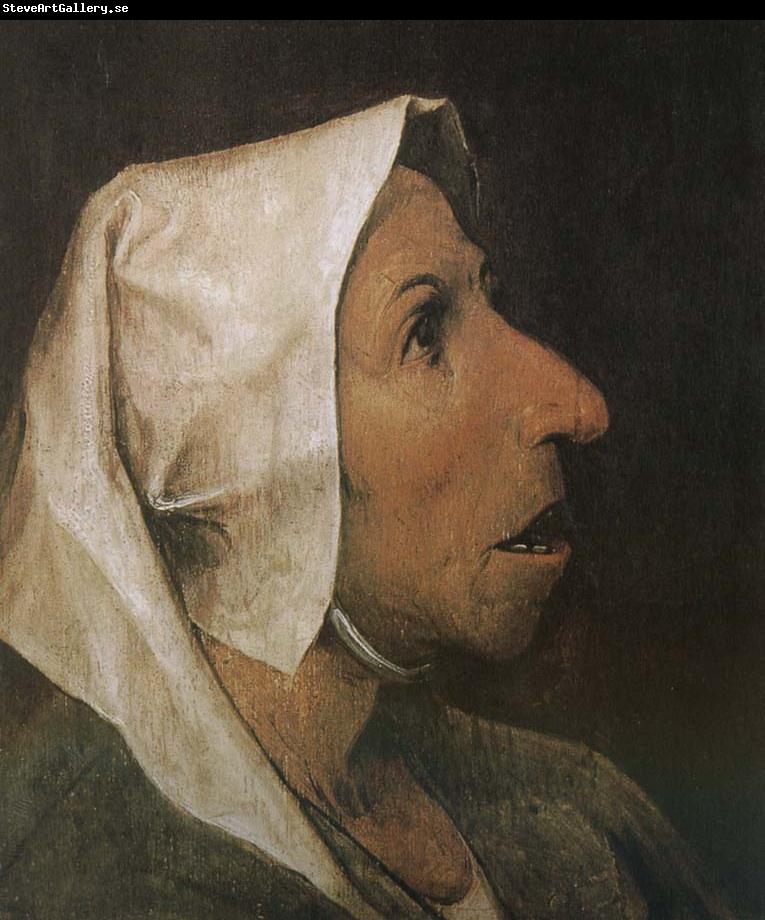 Pieter Bruegel Portrait of woman